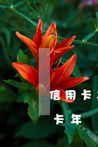 信用卡年費(fèi)逾期可以溝通嗎，信用卡年費(fèi)逾期：如何通過(guò)有效溝通避免額外費(fèi)用？